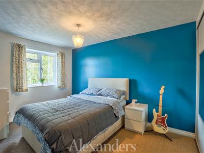 Picture 8